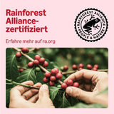 by Amazon Klassische Kaffeepads aus 100% Arabica, geeignet für Senseo-Maschinen, 36 Stück (1 Packung mit 36 ​​​​Stück) – Rainforest Alliance-zertifiziert