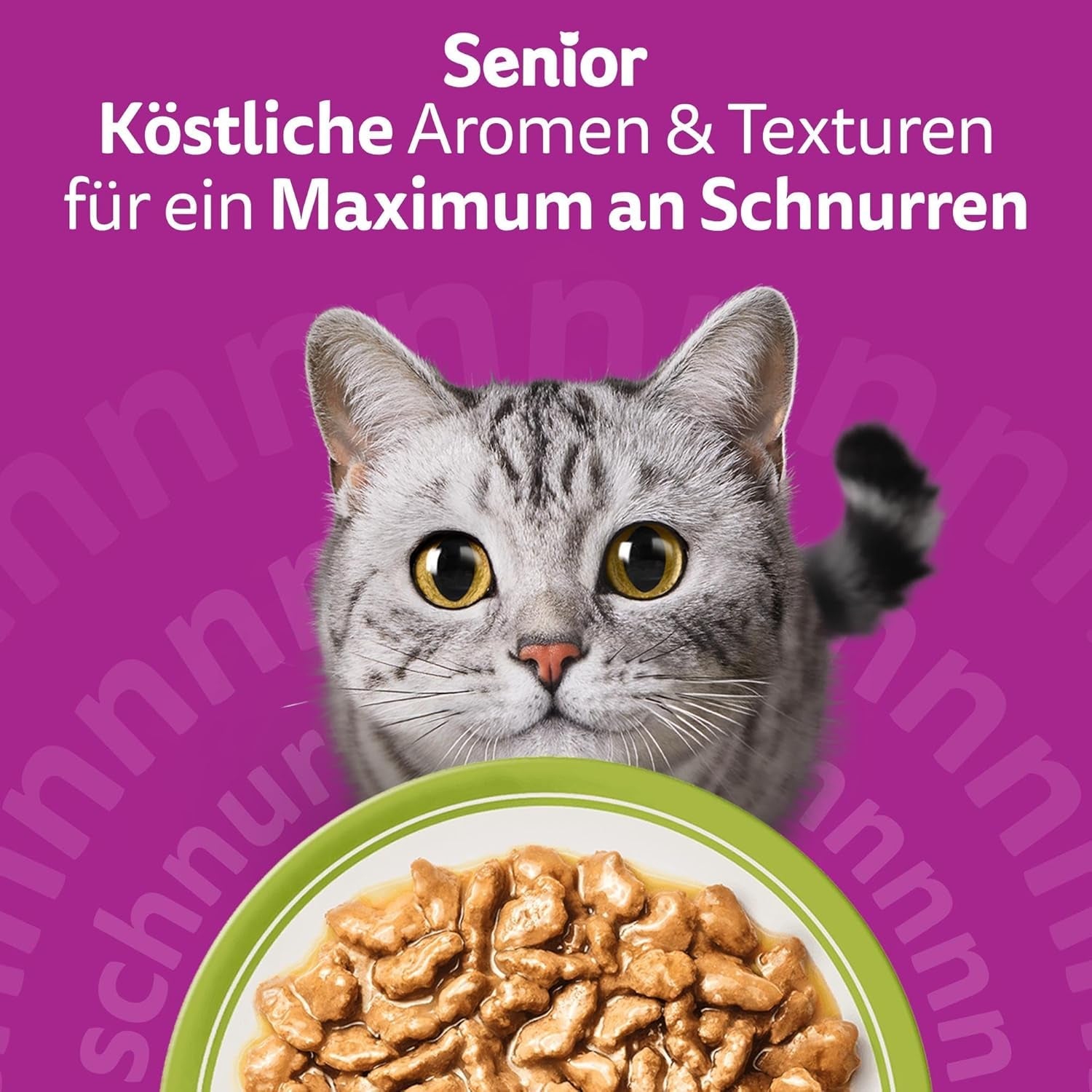 Whiskas Senior 7+ Mokra karma mieszana w sosie, 48 saszetek, 12x85g (4 sztuki w opakowaniu) - Wysokiej jakości mokra karma dla kotów w wieku 7 lat i starszych