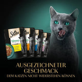 SHEBA Nature's Collection w sosie - wysokiej jakości mokra karma dla kotów, drobnej odmiany (MSC) w porcjowanych saszetkach - 72 x 85 g