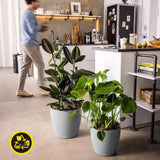 LECHUZA Classico Color ECO 35 Doniczka jasnoszara z systemem nawadniania i wskaźnikiem poziomu wody | Wykonane w 100% z tworzywa sztucznego pochodzącego z recyklingu | Matowe wykończenie | Ø 34,5 x 32,5 cm | 18930