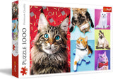 Układanka - "1000" - Portrety śmiesznych psów Puzzle Naty Shop Śmieszne koty