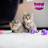 Whiskas Junior Classic Selection Mokra karma dla kotów w sosie, 48 saszetek, 12 x 85 g (4 sztuki w opakowaniu) - Wysokiej jakości mokra karma dla rosnących kotów, od 2 do 12 miesięcy