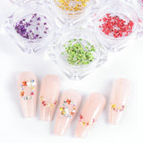 EYVRPAU 6 Stück Nail Art Zestaw kwiatów Dekoracja, Gelnägel Zubehör 6 Farben, Nail Art Aufkleber Trockene Blumen Kit Getrocknete Blumen Zubehör Zestaw DIY Nageldekoration