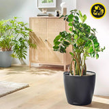 Donica LECHUZA Classico Color ECO 60 Ciemnoszary | Donica z systemem podlewania i wskaźnikiem poziomu wody | Wykonane w 100% z plastiku pochodzącego z recyklingu | Matowe wykończenie | Ø 60 x 55,5 cm | 18955
