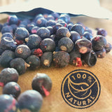 Liofilizowane czarne porzeczki | 100% naturalne suszone porzeczki | Bez dodatku cukru Zdrowe słodycze liofilizowane | Owoce liofilizowane Owoce liofilizowane Produkty suszone Naty Shop