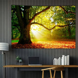 Dywan gobelin las płótno drzewo słońce niebo Strona główna - Akcesoria i dekoracje Naty Shop 200L X 150B Cm