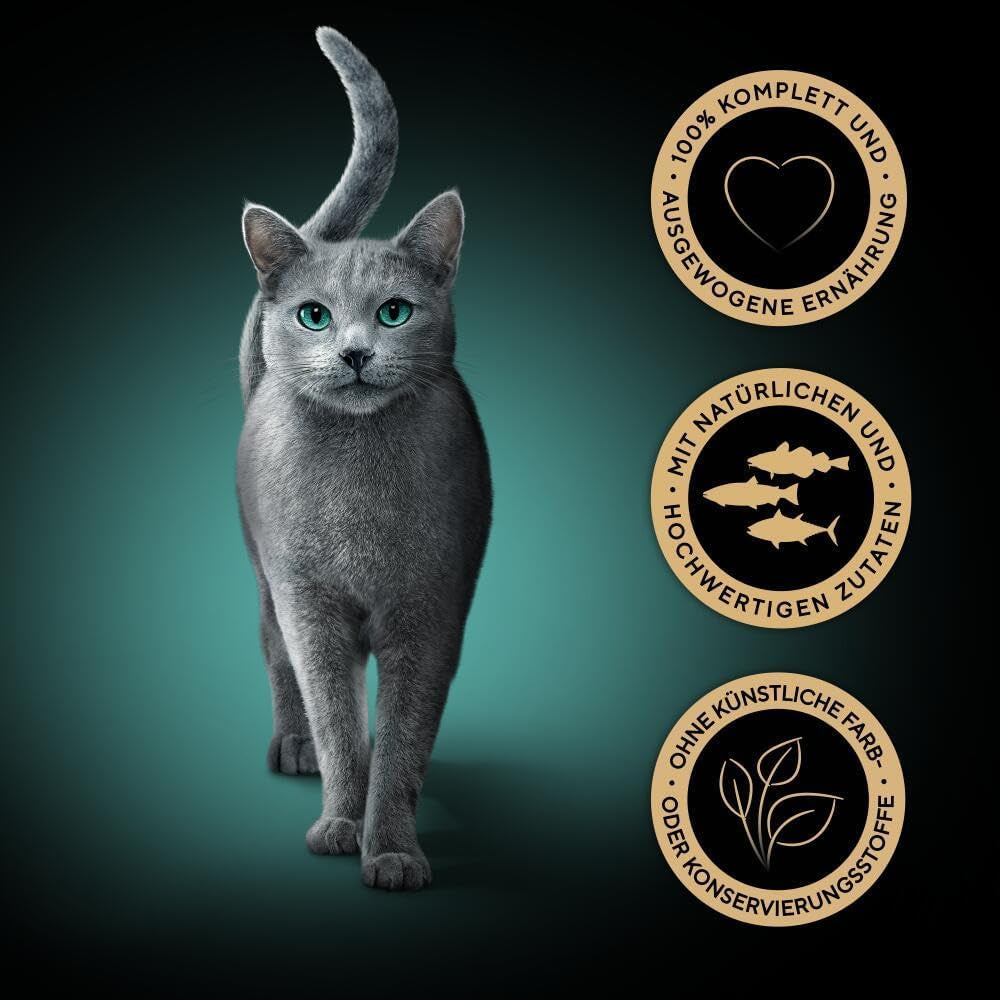 Sheba CATCARE Torba Wet Fresh & FINE (Ryba) Kawałki w sosie Dorosły 50g Opakowanie zbiorcze Standard