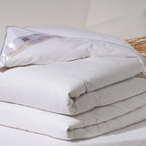 Platyna, puch gęsi, 300 G/M², 240 X 220 Cm, biały (biały) Pościele i kołdry Naty Shop Bianco 260X240 Cm