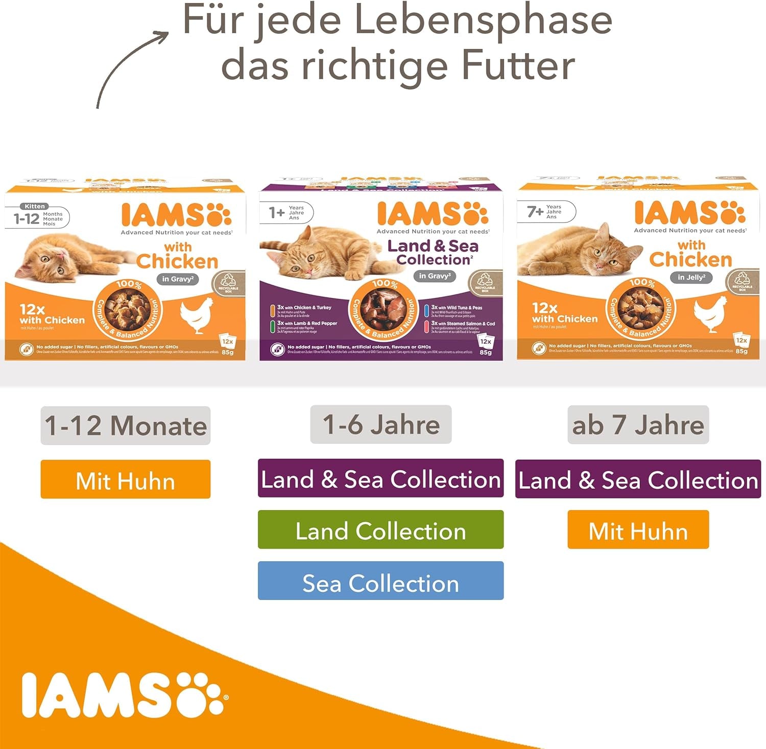IAMS Delights Kitten Nassfutter - Opakowanie zbiorcze Katzenfutter mit Hunn w sosie, wysokiej jakości Futter für Junior Kätzchen von 1-12 Monate, 12 x 85 g