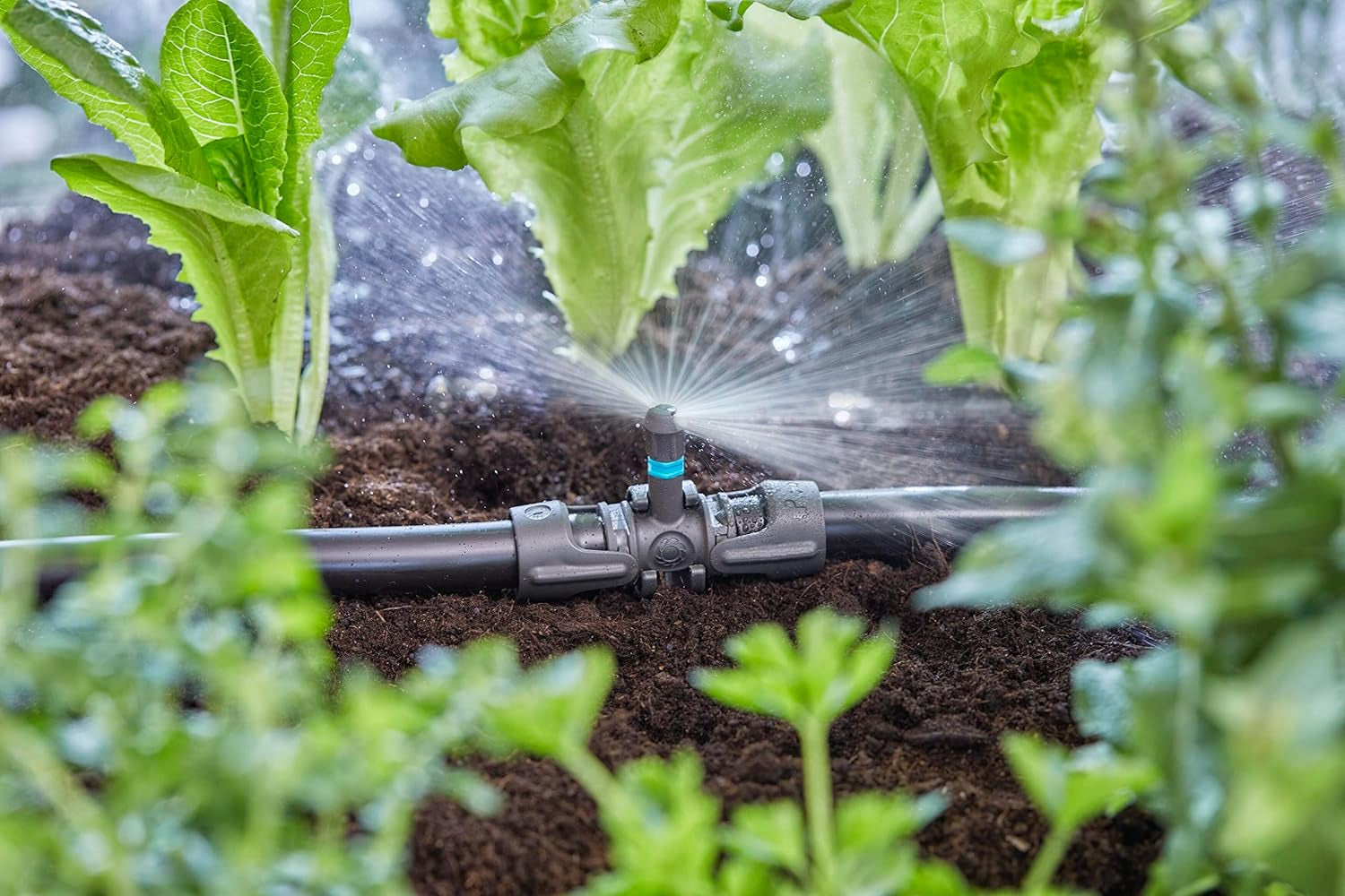 Trójnik Gardena Micro-Drip-System do dysz zraszających: połączenie rur 13 mm z dyszą zraszającą, automatyczne nawadnianie roślin, szybka i łatwa technologia łączenia, wielokrotnego użytku (13206-20)