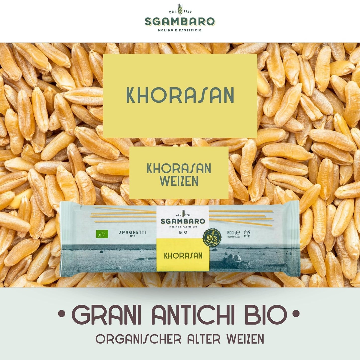 Organiczny makaron spaghetti nr. 5 - 500 g pszenicy Khorasan – Starożytna pszenica, bogata w białko, w 100% włoska, wszechstronna w kuchni i bogata w składniki odżywcze