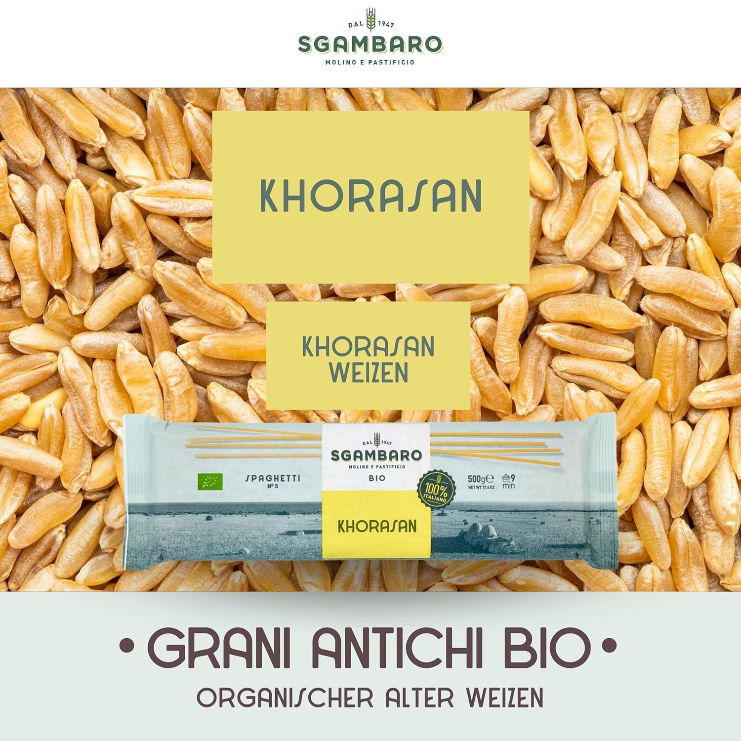 Organiczny makaron spaghetti nr. 5 - 500 g pszenicy Khorasan – Starożytna pszenica, bogata w białko, w 100% włoska, wszechstronna w kuchni i bogata w składniki odżywcze