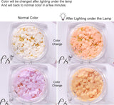 6 pudełek 3D Flower Nagelkunst Charms, akrylowy kwiat Nagel Strass Mit Gold i Silberperlen Ozdoben, Nagel Edelsteine, Nagel Zubehör Für Mädchen, Frauen, DIY Nageldesign, Basteldekoration…