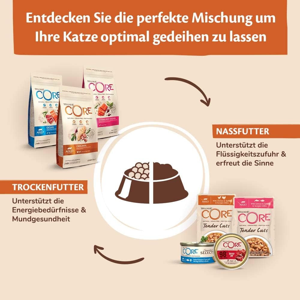 Wellness CORE 98% 12 x 85g, Kurczak i Łosoś - Mokra karma dla kotów, gęsty pasztet, bez zbóż, naturalna, hipoalergiczna, bogata w białko, bogata w mięso