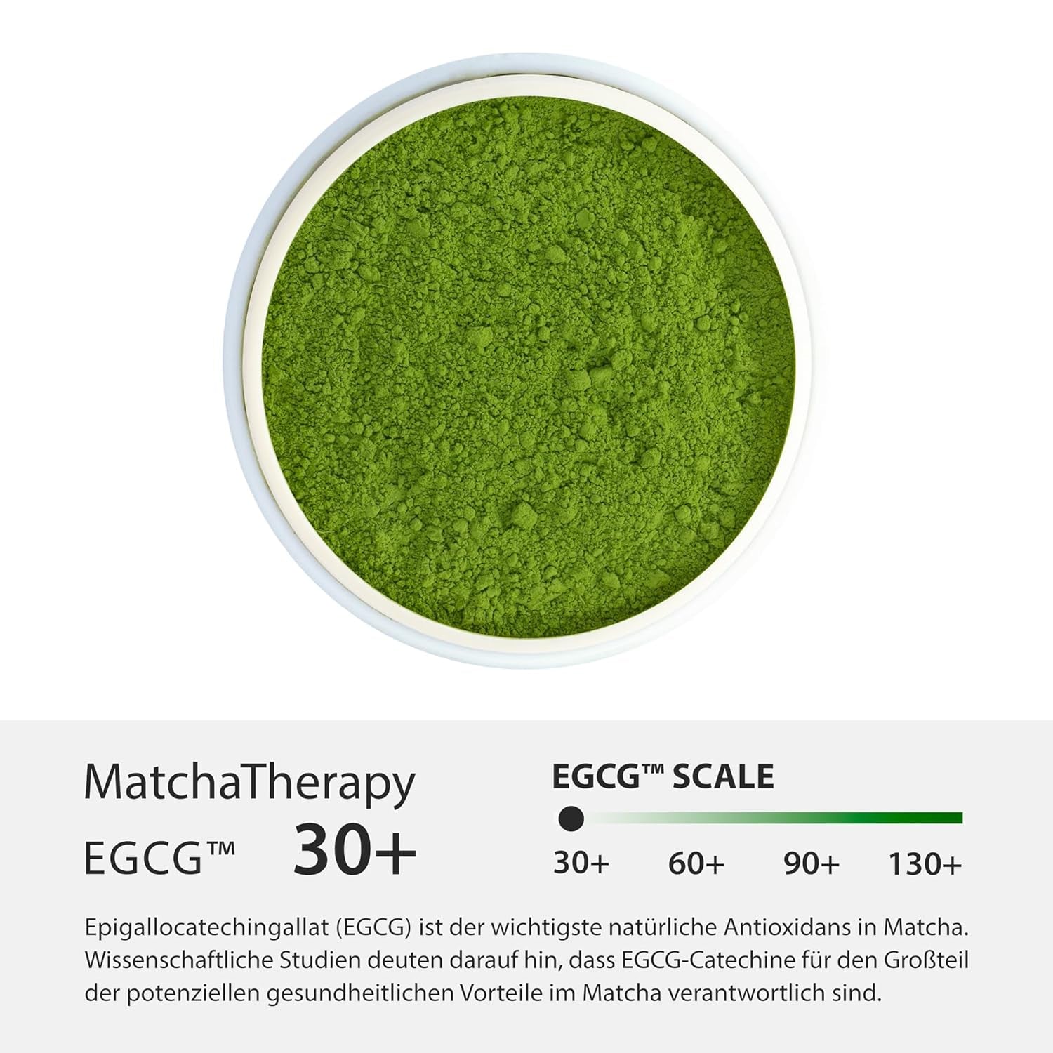 Terapia Matcha 30+ | Organiczna herbata Matcha w proszku | 60 g | O potwierdzonej zawartości co najmniej 30 mg/g katechiny EGCG | Wspomaga układ odpornościowy i poziom energii | Ceremonialna jakość | Zielona herbata z Japonii