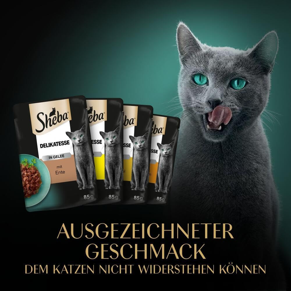 SHEBA Mokra karma dla kotów - 72 saszetki x 85g - Odmiana dla drobiu w galarecie - Mokra karma dla kotów - 1 duże opakowanie