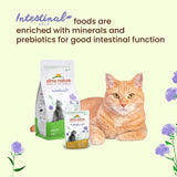 Almo Nature Functional - Intestinal Help - Mokra karma dla dorosłych i dojrzałych kotów z wrażliwymi jelitami - z drobiem - wspiera mikrobiom - 70 g (opakowanie 30 szt.)