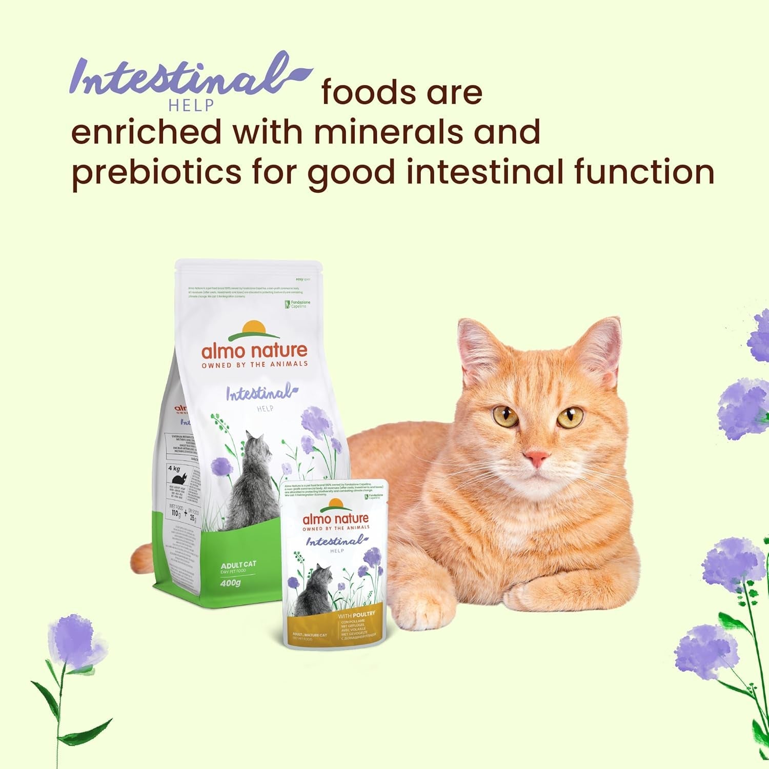 Almo Nature Functional - Intestinal Help - Mokra karma dla dorosłych i dojrzałych kotów z wrażliwymi jelitami - z drobiem - wspiera mikrobiom - 70 g (opakowanie 30 szt.)