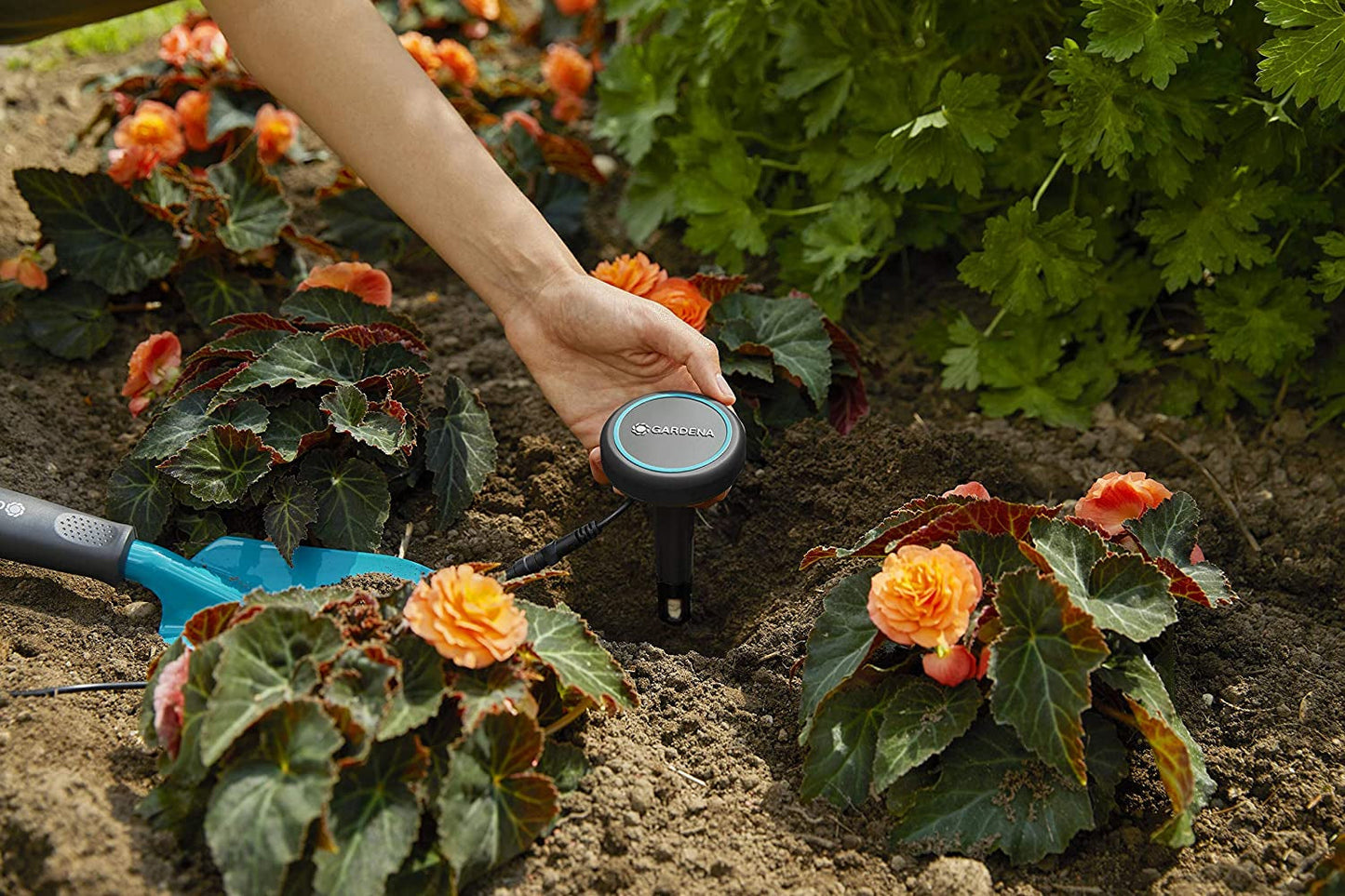 Przedłużacz Gardena (10 m) do czujnika deszczu i czujnika wilgotności gleby, kabel połączeniowy z systemem Easy Click, z możliwością przedłużenia do 105 m, do użytku naziemnego i podziemnego (01868-20)