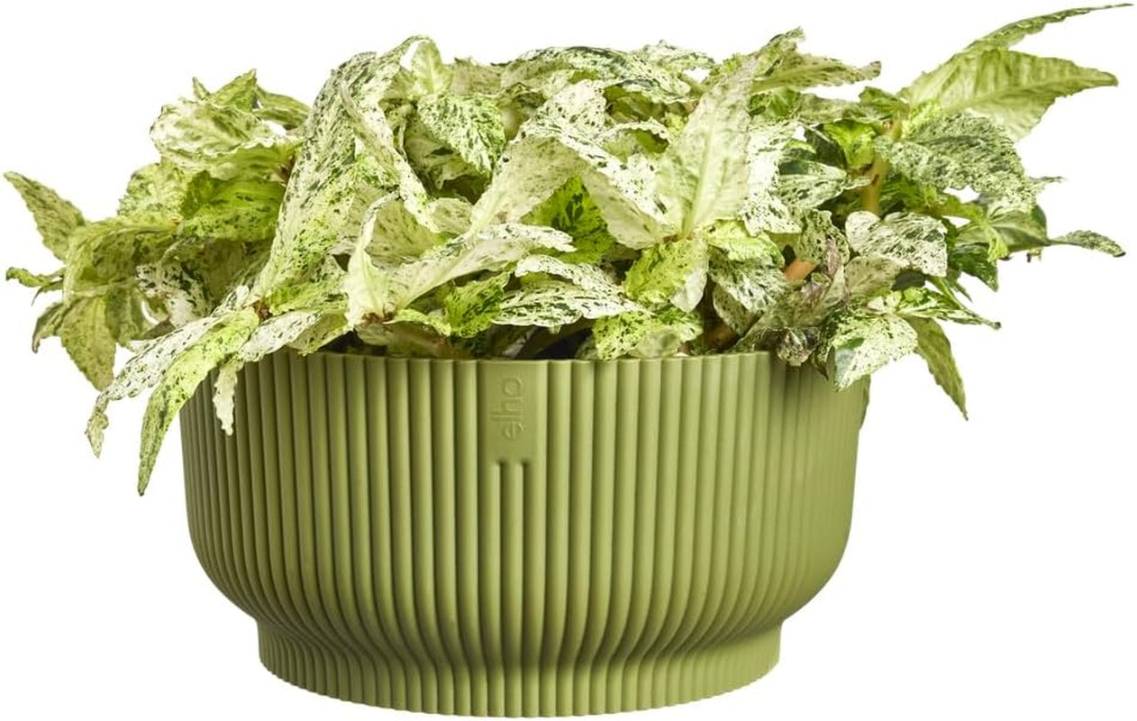 elho Vibes Fold Bowl 25 - Doniczki do wnętrz - 100% plastiku pochodzącego z recyklingu - Ø 24,9 x wys. 12,1 cm - Zielony/Ferngrün