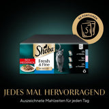 Sheba CATCARE Torba Wet Fresh & FINE (Ryba) Kawałki w sosie Dorosły 50g Opakowanie zbiorcze Standard