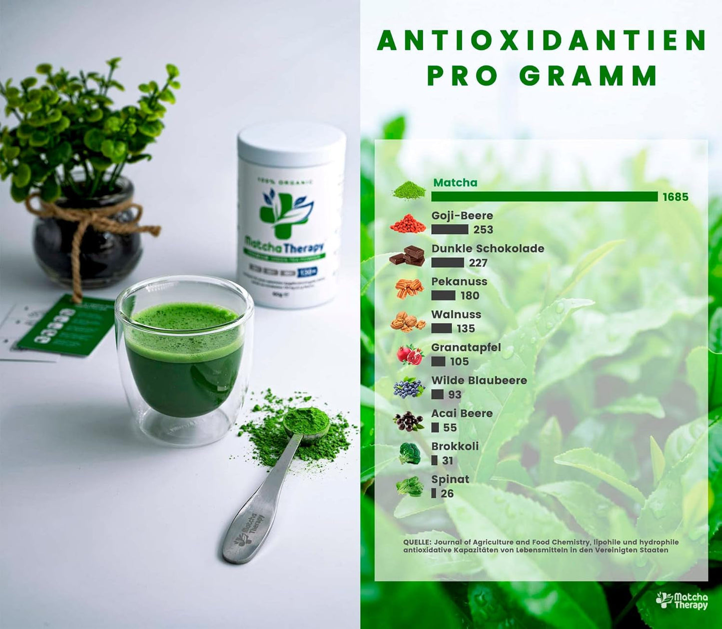 Terapia Matcha 30+ | Organiczna herbata Matcha w proszku | 60 g | O potwierdzonej zawartości co najmniej 30 mg/g katechiny EGCG | Wspomaga układ odpornościowy i poziom energii | Ceremonialna jakość | Zielona herbata z Japonii