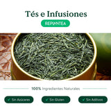 Organiczna japońska zielona herbata Gyokuro (100 g) | Herbata luzem premium | Wyrafinowany smak umami i delikatna słodycz | REPLANT