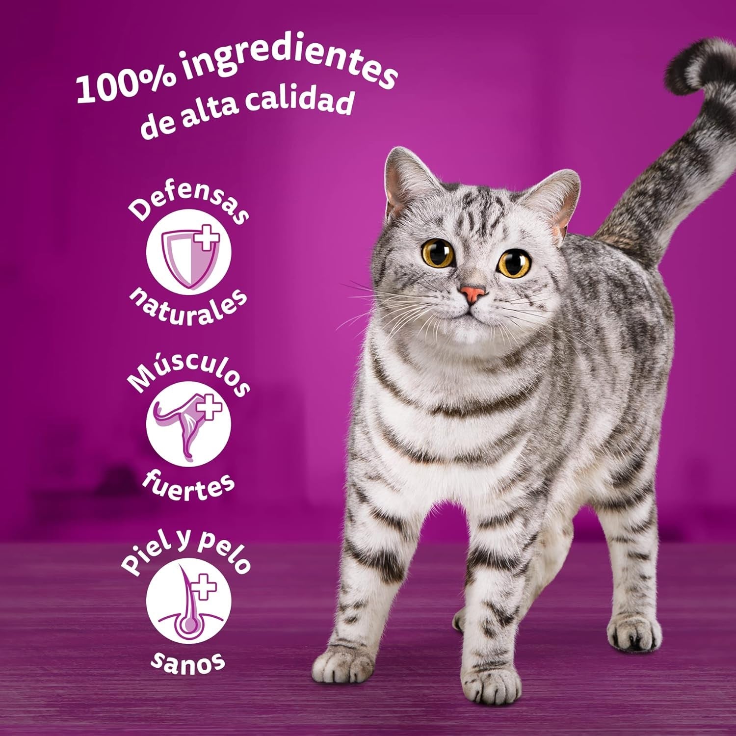 Whiskas Nassfutter für ausgewachsene Katzen, Fischauswahl in Jelly (opakowanie zbiorcze, 4 x 12 x 85 g)