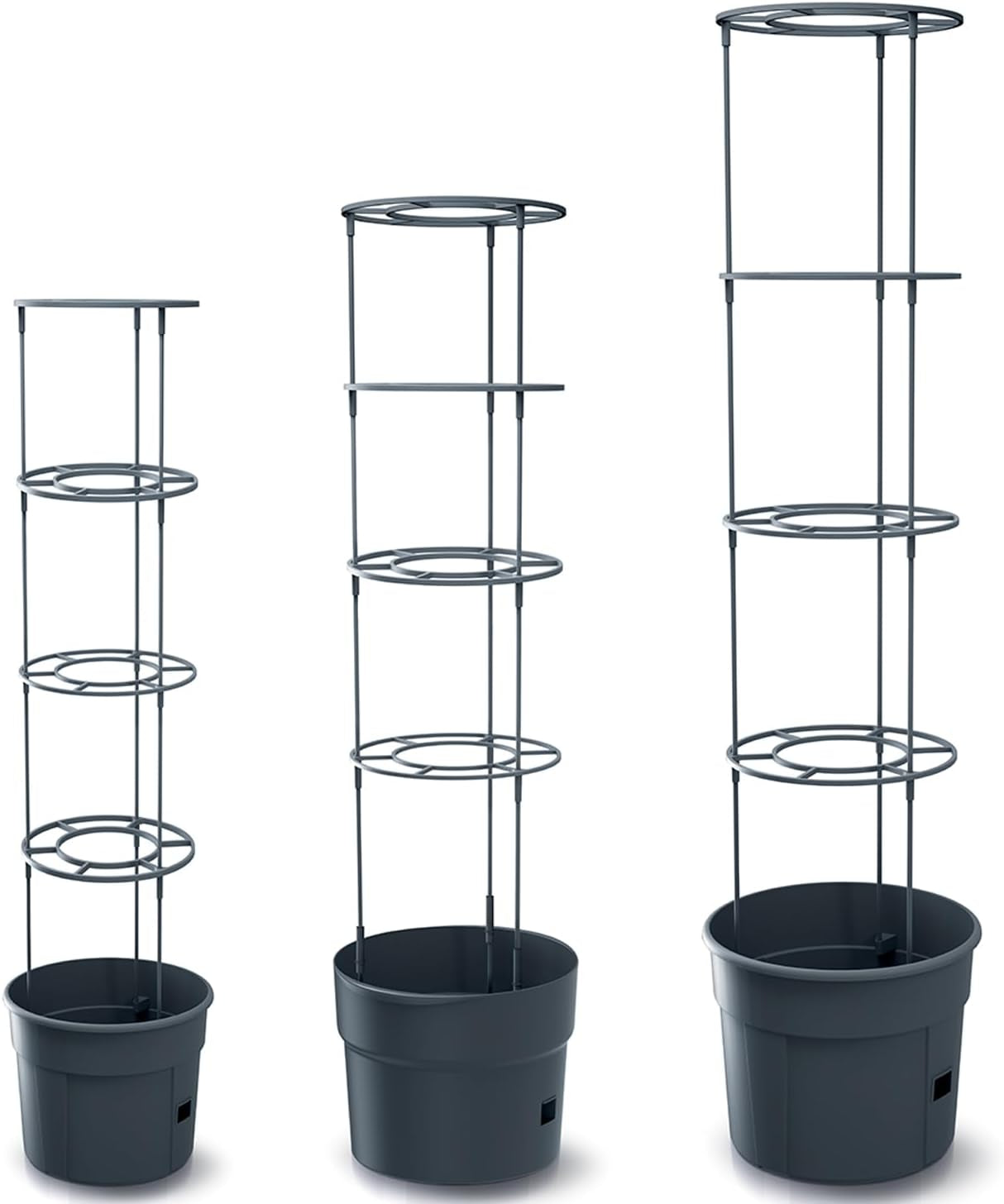 Doniczki do sadzonek pomidorów Prosperplast z kratą – Solidna donica z tworzywa sztucznego | Antracyt | Odporny na warunki atmosferyczne i promieniowanie UV | 29,5 x 115,2 cm | Idealny do ogrodu i na taras