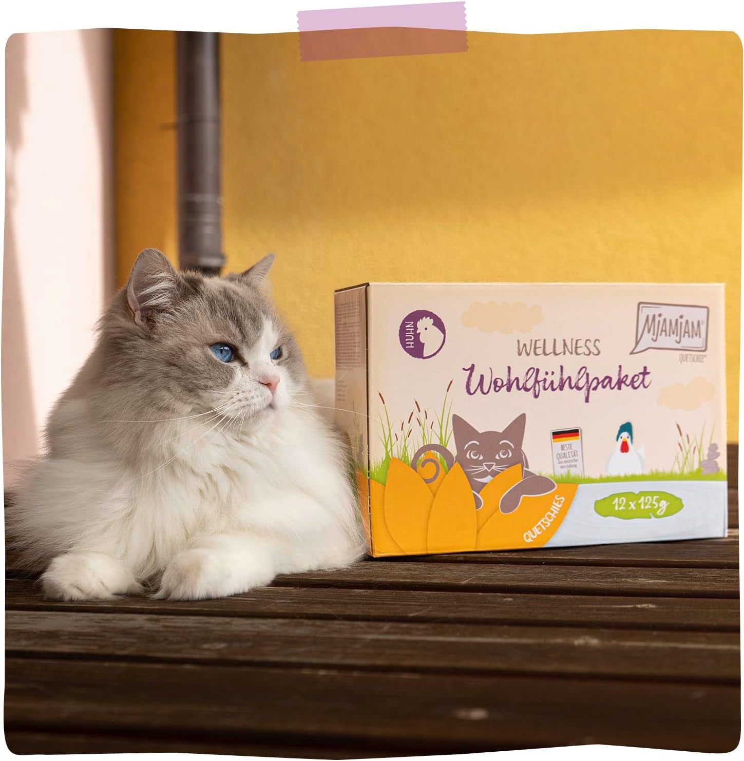 MjAMjAM - Mokra karma Premium dla kotów - Kurczak Wellness Pack 12 opakowań (12 x 125 g) bez zbóż z dodatkowym mięsem