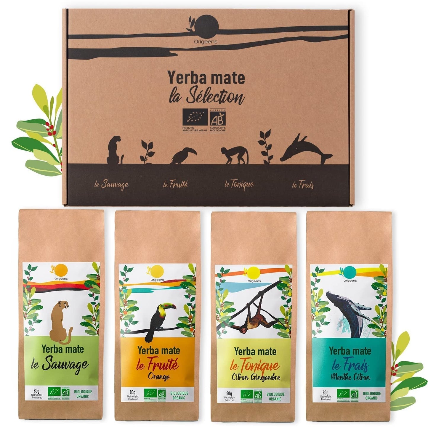 ORIGEENS BIO MATE TEA ZESTAW PREZENTOWY X4 I Yerba Mate Bio 4X80G I Yerba Mate Zestaw herbaciany, pomysł na prezent