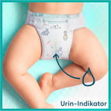 Pieluszki dla niemowląt Pampers, rozmiar 2 (4-8 kg), Harmony, pudełko Half Moon, delikatna ochrona skóry i składniki ziołowe, 240 sztuk