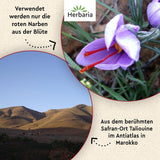 Herbaria Safran-Fäden bio 0,5g im Glas – Bio Saffron-Fäden aus dem bereicht Safran-Ort Taliouine in Marokko – Safranfäden in Premium Bio-Qualität – Saffron Premium - Safran premiera kategorii