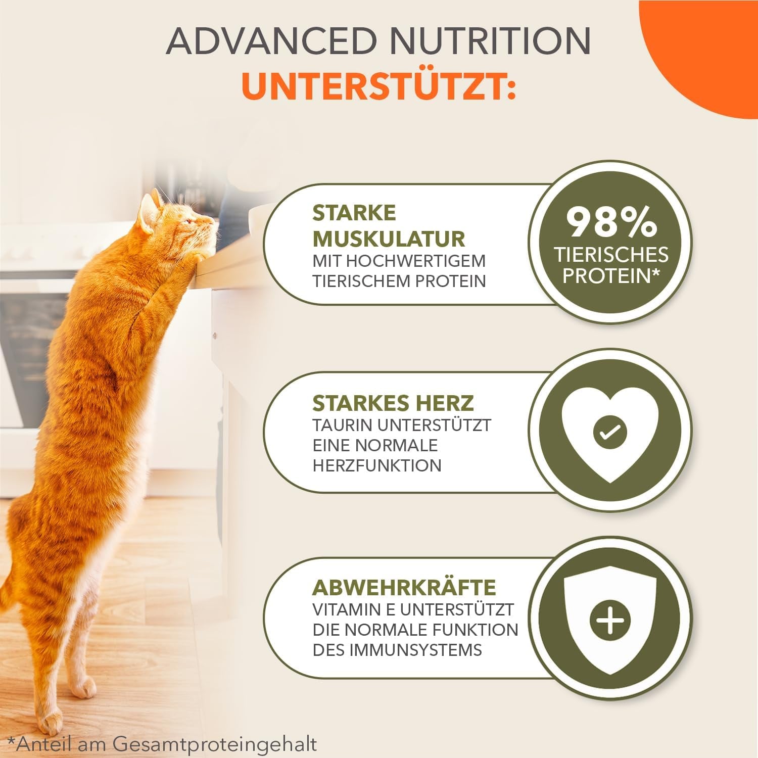 IAMS Delights Land Collection Bezzbożowa mokra karma dla kotów - Mięsne opakowanie różnorodne Mokra karma bezzbożowa dla kotów w wieku 1 roku i starszych 12 x 85 g