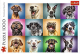Puzzle - "1000" - Śmieszne portrety psów Puzzle Naty Shop