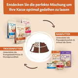 Wellness CORE Purely Paté 24 x 85g, Kurczak i Indyk - Mokra karma dla kotów, delikatny pasztet, bez zbóż, naturalny, hipoalergiczny, o wysokiej zawartości białka, o wysokiej zawartości mięsa