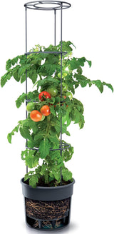 Doniczki do sadzonek pomidorów Prosperplast z kratą – Solidna donica z tworzywa sztucznego | Antracyt | Odporny na warunki atmosferyczne i promieniowanie UV | 29,5 x 115,2 cm | Idealny do ogrodu i na taras
