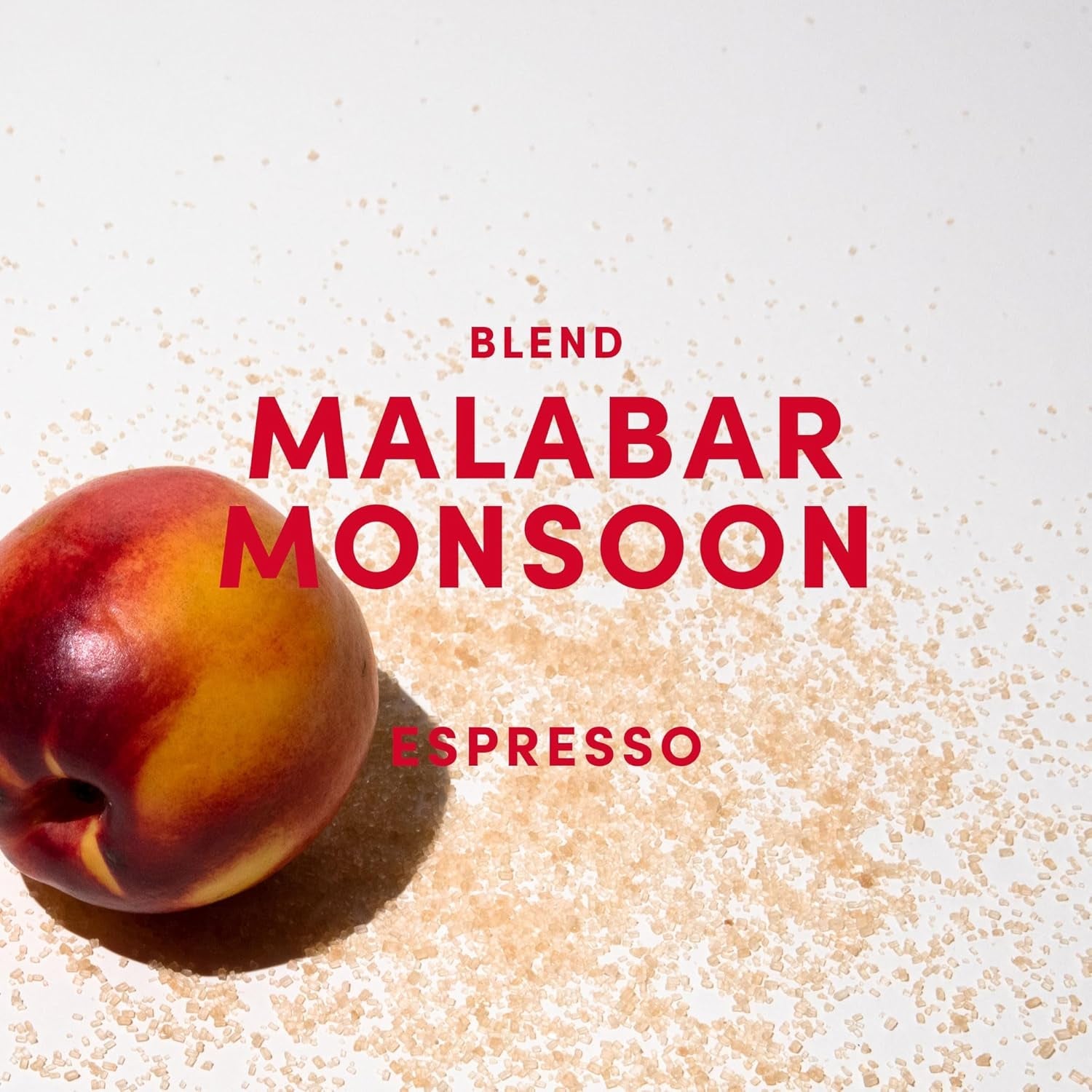 Mieszanka espresso Malabar Monsoon - 100% Arabiki z Indii, Brazylii i Gwatemali - säurearm & ausgefungen mit Nektarine, Honig & Haselnuss - ganze Bohnen, średnio ciemna palenie - 1kg