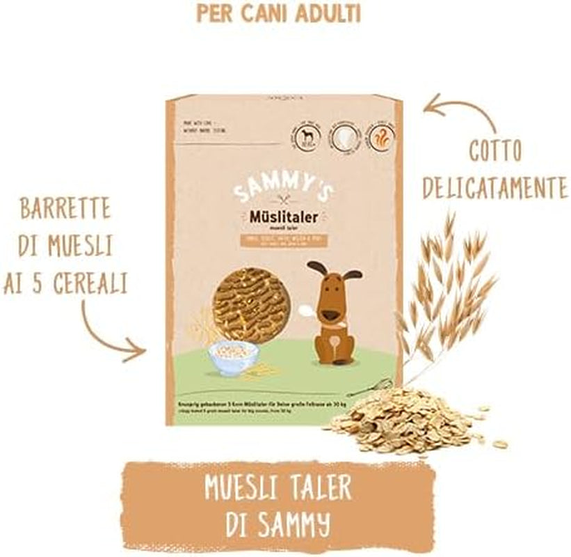 Monety musli Sammy'ego | Chrupiące pieczone przekąski dla psów | 5 monet zbożowych musli dla Twojego dużego futrzanego przyjaciela (30kg+) | 1 kg