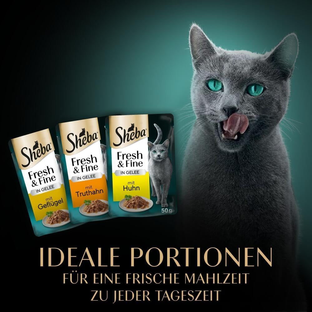 Sheba Porcja Mokra karma dla kotów, świeża i delikatna galaretka z indyka i kurczaka, 6 x 6 x 50 g - Wysokiej jakości galaretka z indyka i kurczaka dla kotów