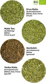 Zestaw do degustacji herbat Mate ● 4 odmiany organicznej herbaty Mate ● po 100 g Erva Mate + Yerba Mate + Herbata Green Mate + Herbata Palona Mate