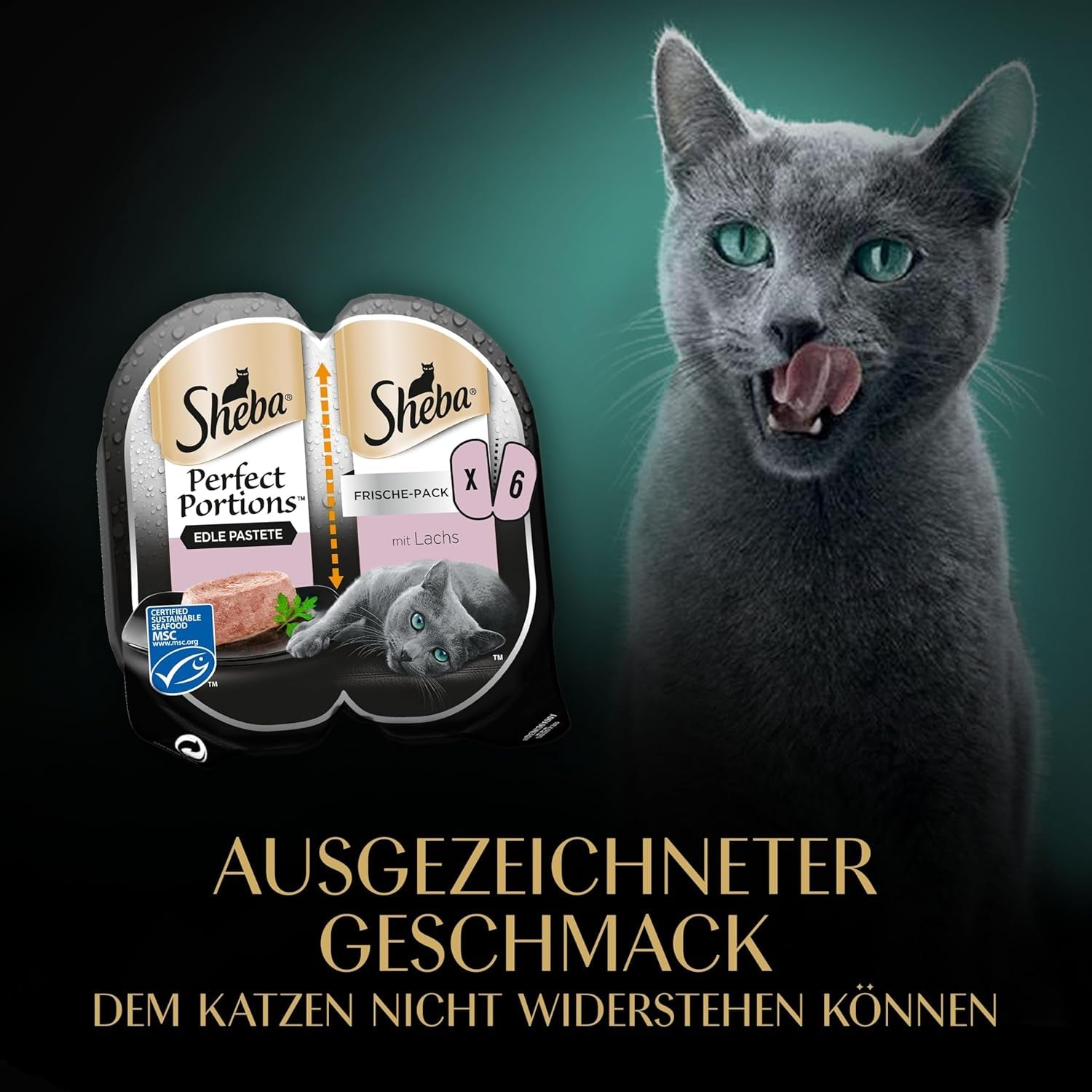 SHEBA Perfect PORTIONS pasztet dla kotów z łososiem, certyfikat MSC, 8 x 3 x (2 x 37,5g) = 225g (Opakowanie będzie aktualizowane)