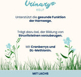 almo nature Functional Urinary Help - Mokra karma dla dorosłych kotów z łososiem - Wspomaga zdrowie dróg moczowych - 30 saszetek po 70 g