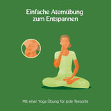 Herbata Yogi - Tulsi Serenity Organiczna ziołowa herbata ajurwedyjska Naturalna mieszanka Tulsi bez kofeiny „Święta” bazylia, lukrecja i pomarańcza Herbata Yogi 3 opakowania 3X17 torebek na herbatę (51 torebek na herbatę)