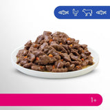 Perfect Fit Adult 1+ wybór mokrej karmy z łososiem, rybami głębinowymi, wołowiną i kurczakiem, 48 saszetek, 12x85g (4 sztuki w opakowaniu) - Mokra karma premium dla dorosłych kotów od 1 roku życia