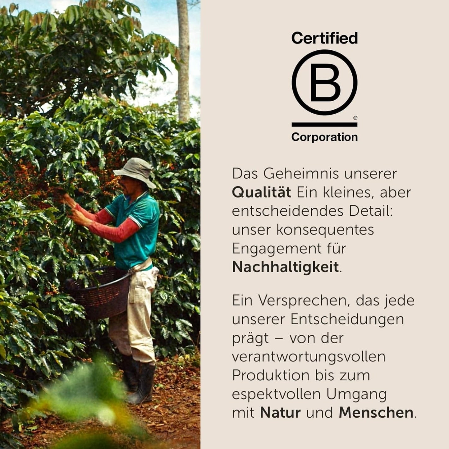 illy, Kaffeebohnen Arabica Selection Costa Rica, 100% Arabica z karmelem, Schokoladen- und Vanillenoten, süßer Gesmack, 1 dawka mit 250g