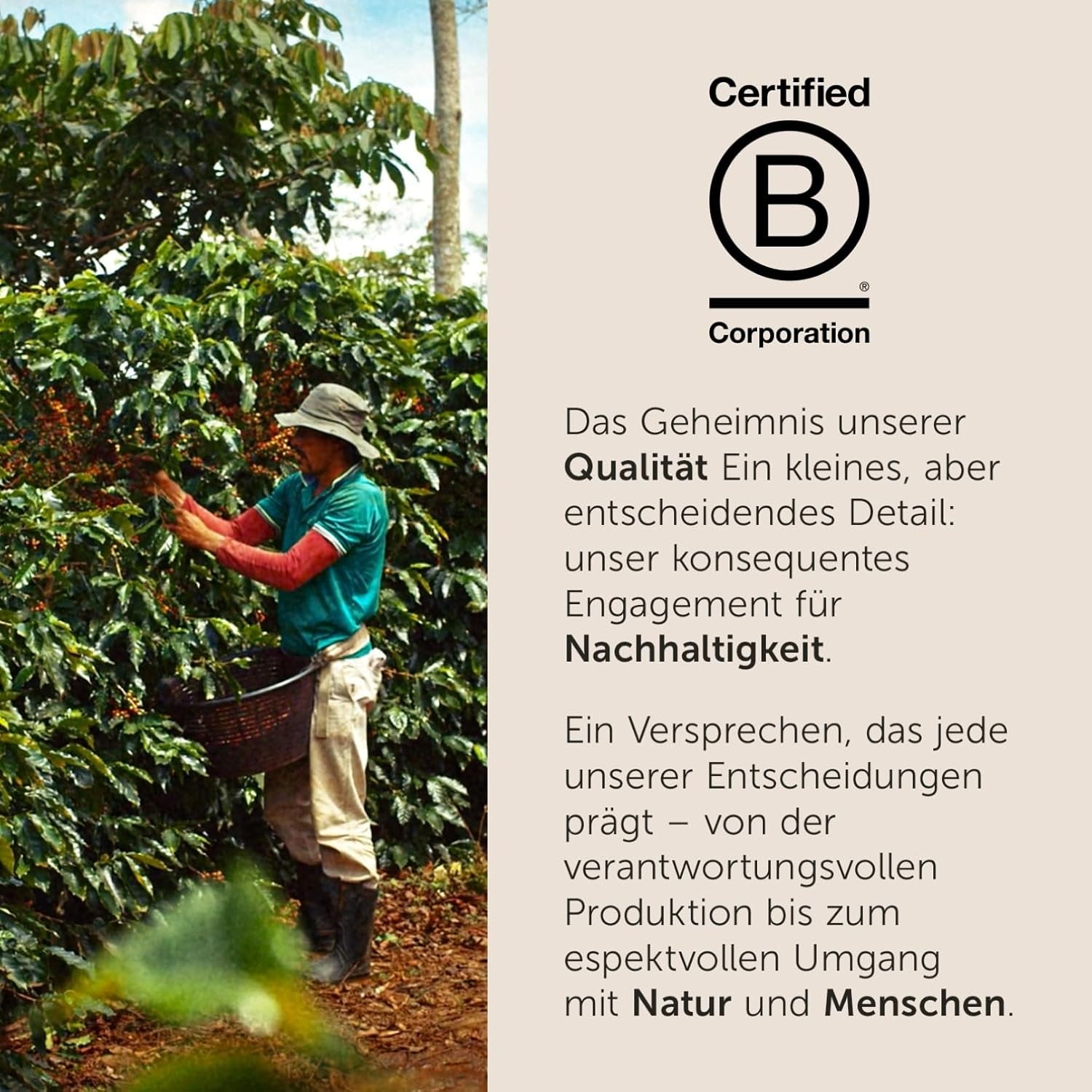 illy, Kaffeebohnen Arabica Selection Costa Rica, 100% Arabica z karmelem, Schokoladen- und Vanillenoten, süßer Gesmack, 1 dawka mit 250g