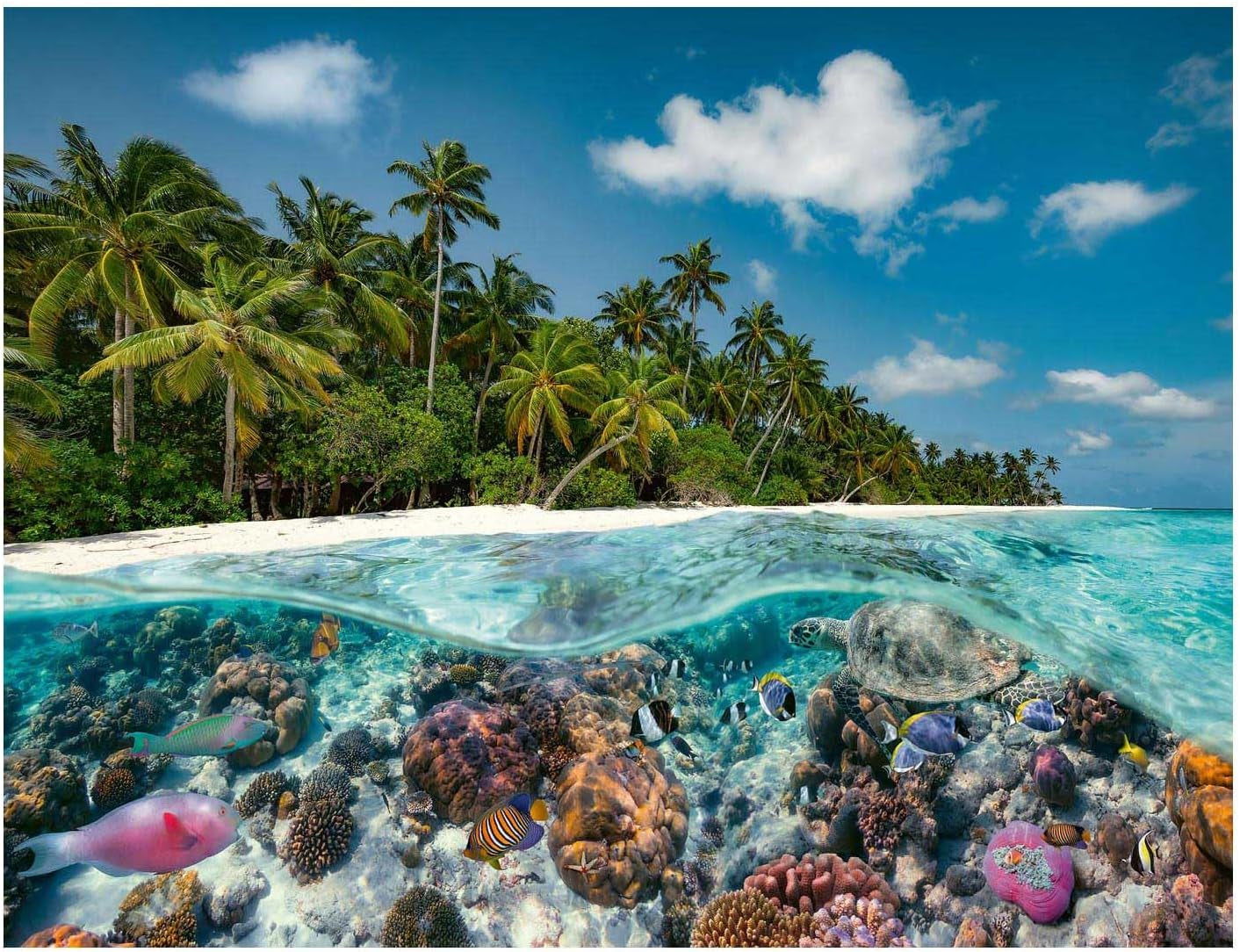 Ravensburger Puzzle 17441 A Dive in the Malediwy - puzzle 2000 elementów dla dorosłych i dzieci od 14. roku życia Puzzle Naty Shop
