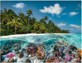 Ravensburger Puzzle 17441 A Dive in the Malediwy - puzzle 2000 elementów dla dorosłych i dzieci od 14. roku życia Puzzle Naty Shop