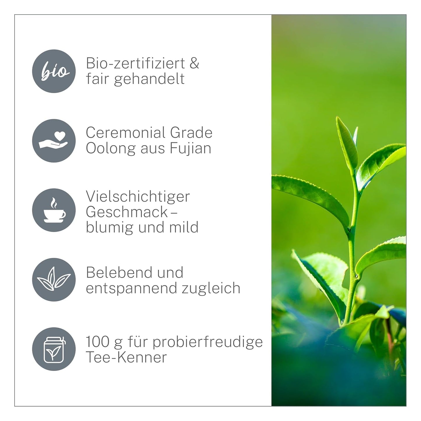 Ti Guan Yin Bio Oolong Tea 100g - Wysokiej jakości organiczna herbata Oolong z Chin - Wu Long (klasa ceremonialna) - Dla miłośników i koneserów herbaty - Mycupoftea